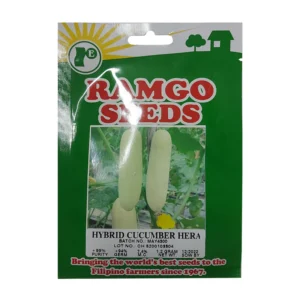 HYBRID CUCUMBER HERA 1.2G