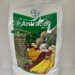Antracol WP 70 1KG